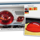 Image for article titled This Is The Most Baffling VW Accessory I've Seen In A Long Time